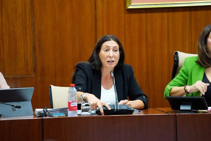 La consejera de Servicios Sociales, Familias e Igualdad, Loles López, en la comisión parlamentaria del 13 de octubre de 2026.
