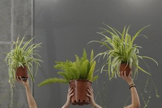 La acción performativa ‘Patios’, de Maider López, se presenta en el C3A de Córdoba.