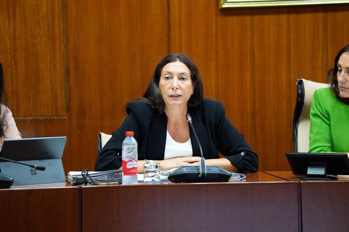 La consejera de Servicios Sociales, Familias e Igualdad, Loles López, en la comisión parlamentaria del 13 de octubre de 2026.
