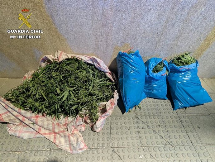 Marihuana intervenida en el maletero de un coche en Can Picafort.