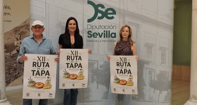 Diputación de Sevilla