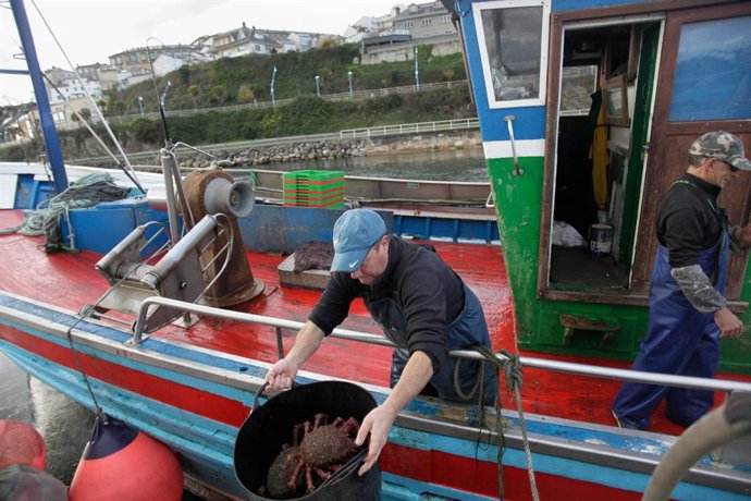 Archivo - Pescadores descargando mercancia
