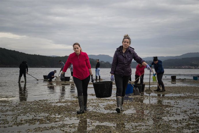 Archivo - Mariscadores recogen las conchas y el marisco muerto, en la playa de Testal, a 18 de marzo de 2026, en Noia, A Coruña, Galicia (España). Decenas de mariscadores de Noia recorren a pie la playa de Testal retirando las toneladas de bivalvo muerto 