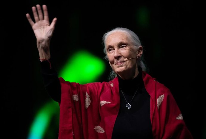 Archivo - Jane Goodall, a 21 de junio de 2019. 