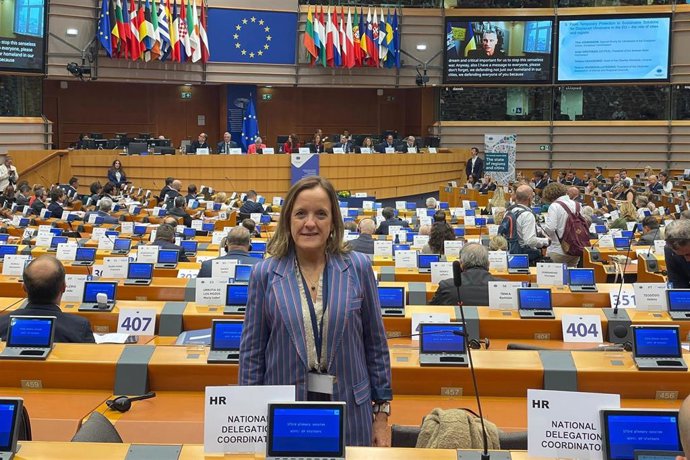 La consejera de Presidencia, Isabel Urrutia, en el pleno del Comité Europeo de las Regiones