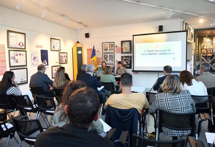 Un instant de la reunió de la taula nacional de salut mental