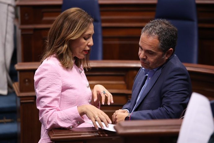 La consejera de Turismo del Gobierno de Canarias, Jessica de León, conversa con el diputado del PSOE Gustavo Santana en un Pleno del Parlamento