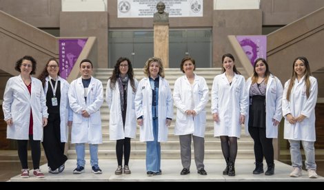 Investigación