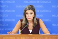PSOE-A eleva el tono contra Moreno por su silencio sobre Landaluce: "Será su caso Nevenka. Lo tapó dos años"
