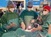 Foto: Uniportal VATS, técnica con la que se ha operado al Papa, está desarrollada por el médico español Diego González Rivas