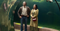 Cine