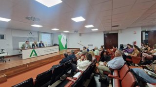 El delegado territorial de Empleo, Empresa y Trabajo Autónomo en Cádiz, Daniel Sánchez Román, en una jornada técnica sobre prevención de riesgos laborales de las personas con discapacidad.