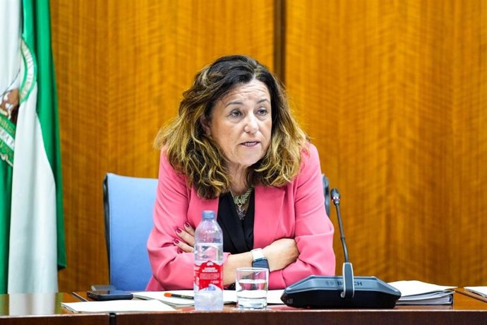 La consejera de Educación, María del Carmen Castillo, en la comisión parlamentaria del 14 de octubre de 2026.