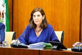 Foto: Blanco anuncia un refuerzo de la prevención de la silicosis, la asbestosis y el cáncer laboral en Andalucía