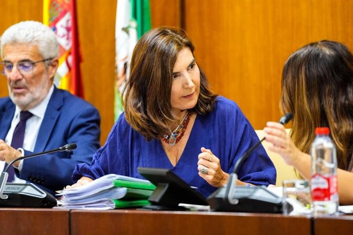 La consejera de Empleo, Rocío Blanco, en la comisión parlamentaria del 14 de octubre de 2026.
