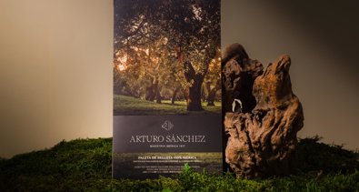 Economía Finanzas