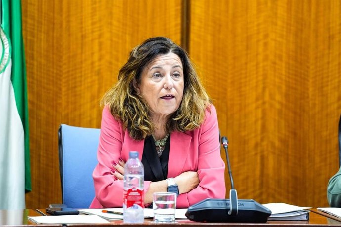 La consejera de Educación, María del Carmen Castillo, en la comisión parlamentaria del 14 de octubre de 2026.