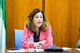 Foto: Andalucía adaptará la normativa que regula las necesidades educativas especiales a la nueva realidad