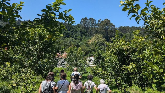 Visita a los campos de frutales de los productores