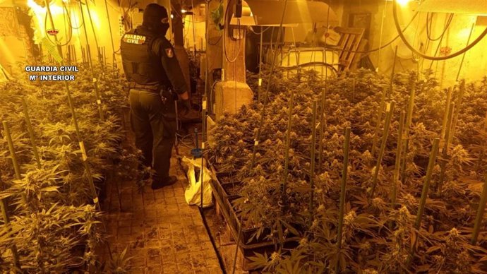 Un detenido y desarticulada una macroplantación 'indoor' de Marihuana en el Valle de Mena, en Burgos.
