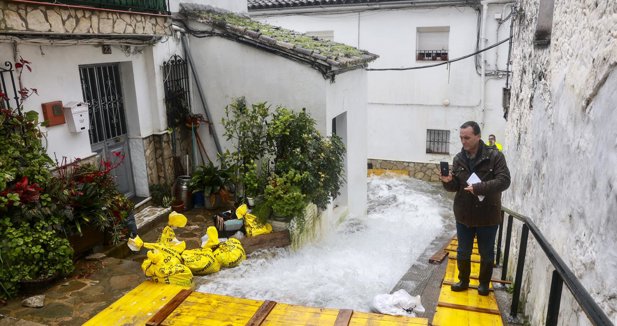 Cádiz al día