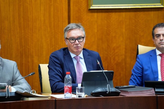 El vicepresidente segundo y consejero de Turismo, Justicia, Desregulación y Administración Local de la Junta de Andalucía, Manuel Gavira, este jueves en la Comisión Parlamentaria.