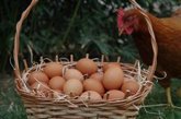 Foto: BC3, Euskaber y Eroski impulsan en Gipuzkoa un proyecto para conseguir huevos KM0 de bajas emisiones