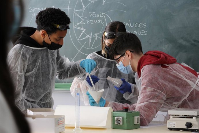 Archivo - Jóvenes investigadores