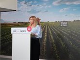Foto: PSOE C-LM señala su respeto a "las propuestas de cada una de las provincias" a las candidaturas al Congreso