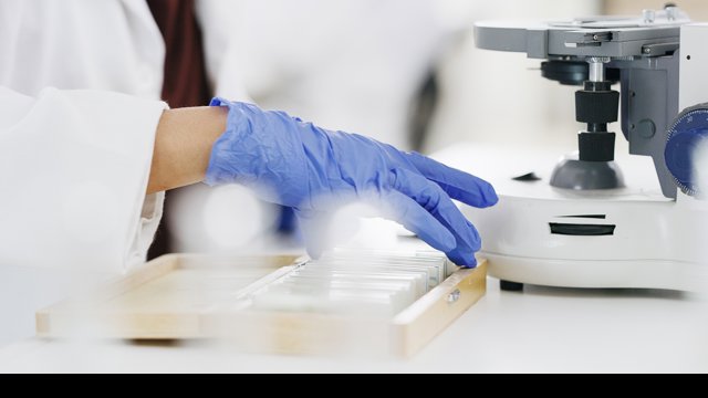 Archivo - Científicos españoles crean una tecnología que facilita estudiar estructuras genéticas ligadas al desarrollo de tumores