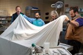 Foto: En busca de la exclusiva del siglo en el disparatado tráiler de la temporada 2 de The Paper