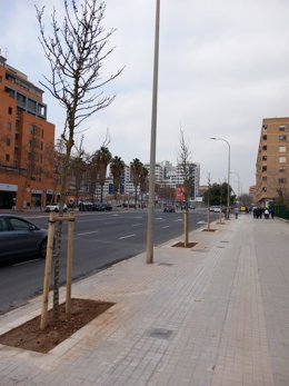 Archivo - Imagen de archivo de la avenida Maestro Rodrigo