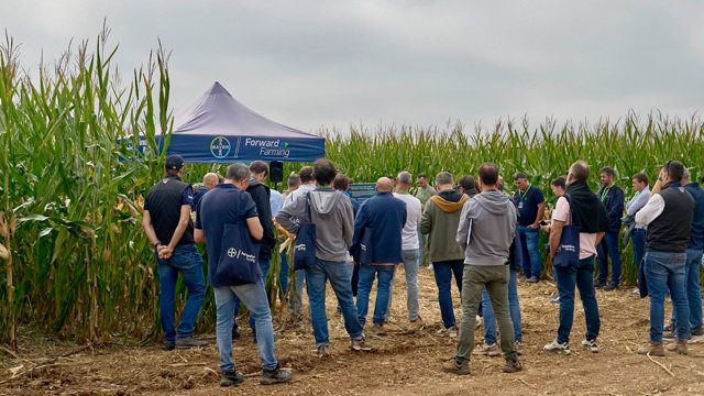 Sariñena inaugura la primera ForwardFarm de España dedicada al cultivo de maíz