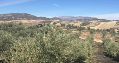 Andalucía