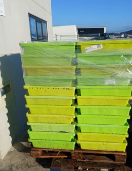 Incautadas cuatro toneladas de bocarte en un operativo en la lonja de Corcubión
