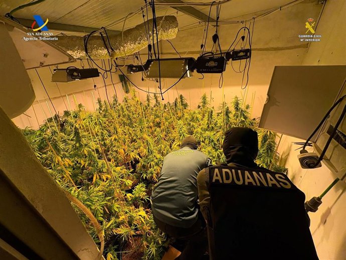 Plantación 'indoor' desmantelada en Osuna.