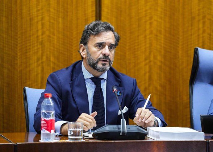 El presidente de la Cámara de Cuentas de Andalucía, Manuel Alejandro Cardenete, comparece en comisión parlamentaria. (Foto de archivo).