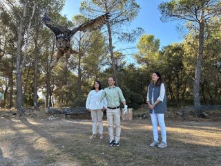 Momento de la suelta