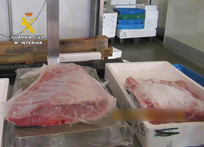 La Guardia Civil incauta 16 kilos de ventresca de atún rojo sin documentación en la lonja de Alcantarilla