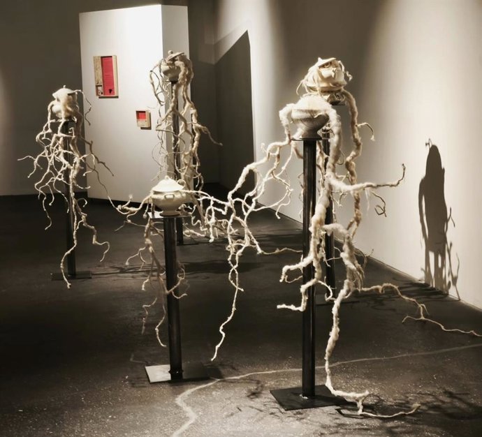 Exposición 'Trashumanteees' en el CCR de Logroño: Lana, sostenibilidad y tradición hasta el 1 de noviembre