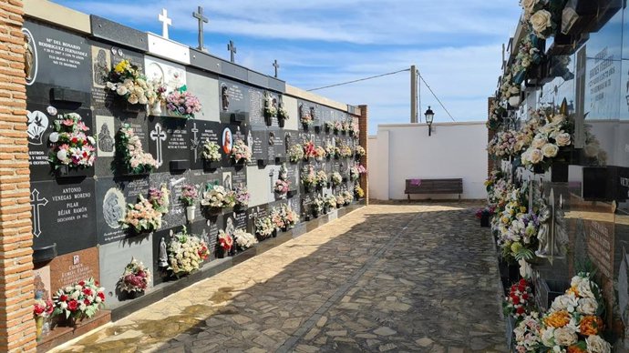 Las Concejalías de Salud y Cementerios del Ayuntamiento de Salobreña (Granada) han prohibido el uso de agua en los jarrones del cementerio municipal de cara al Día de Todos los Santos para prevenir la proliferación del Virus del Nilo