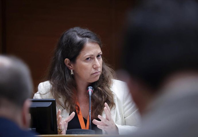 Comisión de Territorio de Les Corts