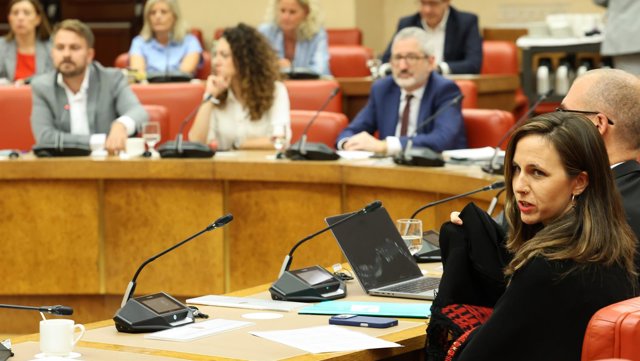 Reunión de la Diputación Permanente del Congreso.