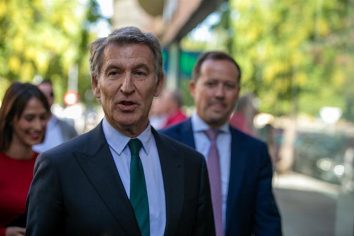 El presidente nacional del PP, Alberto Núñez Feijóo