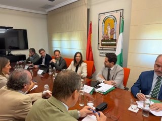 La consejera de Vivienda, Rocío Díaz, en la reunión con representantes de la Mesa de la Construcción de Jaén.