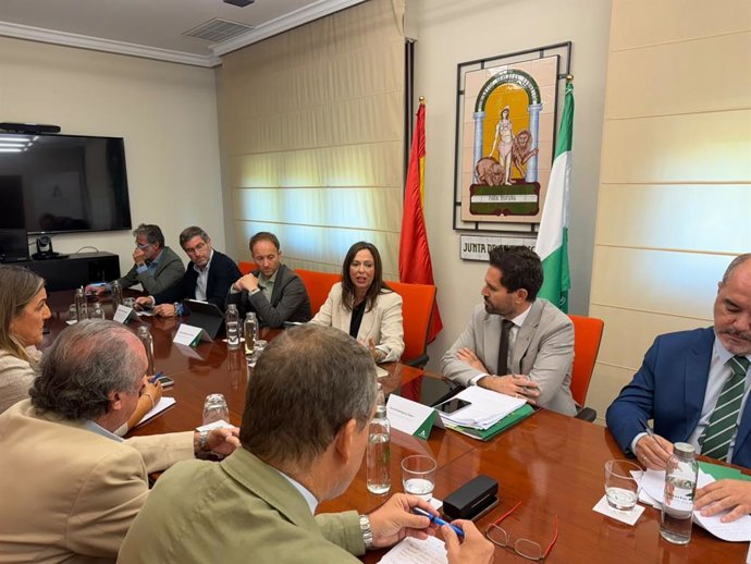La consejera de Vivienda, Rocío Díaz, en la reunión con representantes de la Mesa de la Construcción de Jaén.