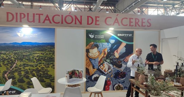 Cáceres Provincial