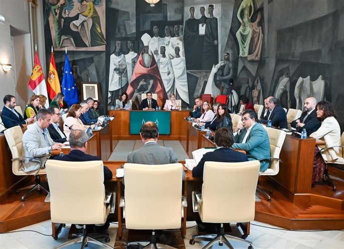 Pleno en la Diputación de Ciudad Real.