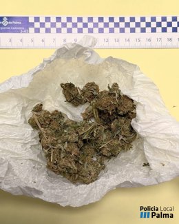 Parte de las sustancias intervenidas al motorista investigado en Palma.