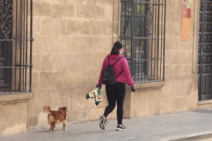 Archivo - El número de perros en la provincia de Jaén asciende a 186.299